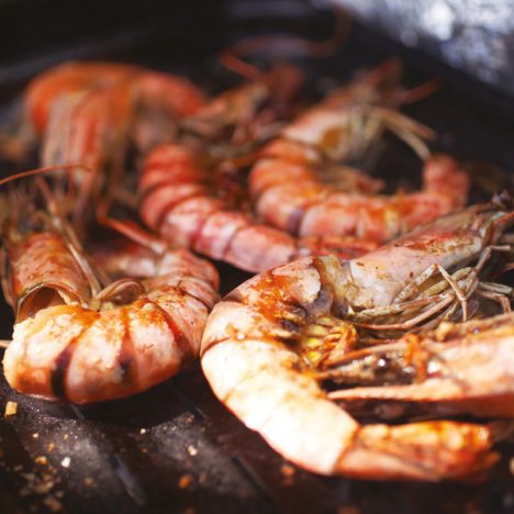Shrimp