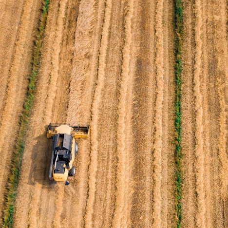 Harvester