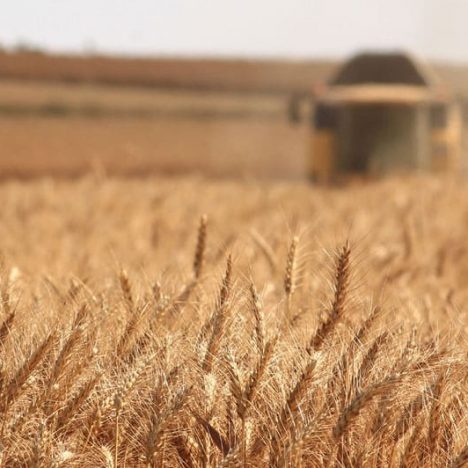 Harvester