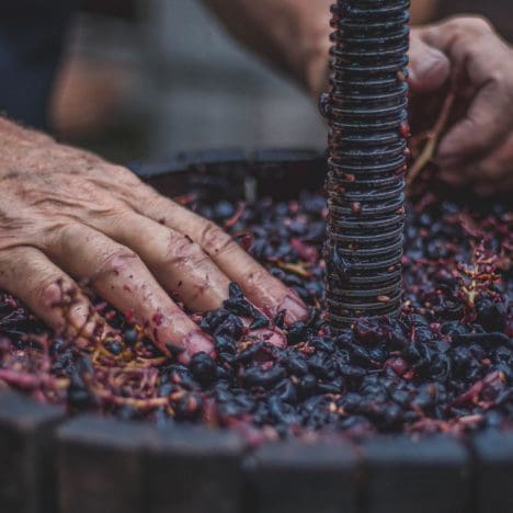 wine making