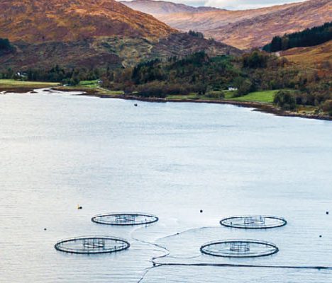 Fishery