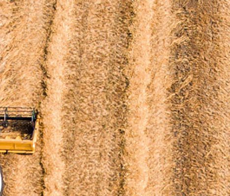 Harvester