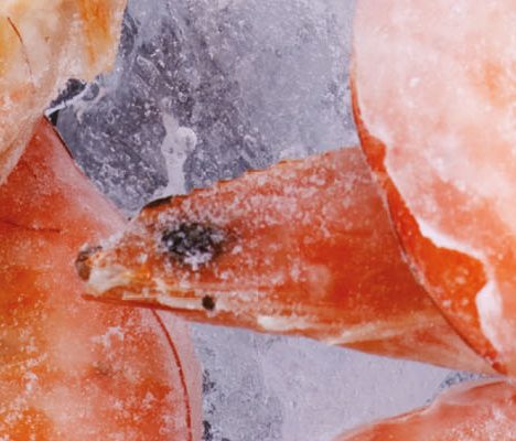 frozen shrimp