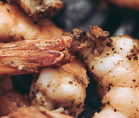 Shrimp