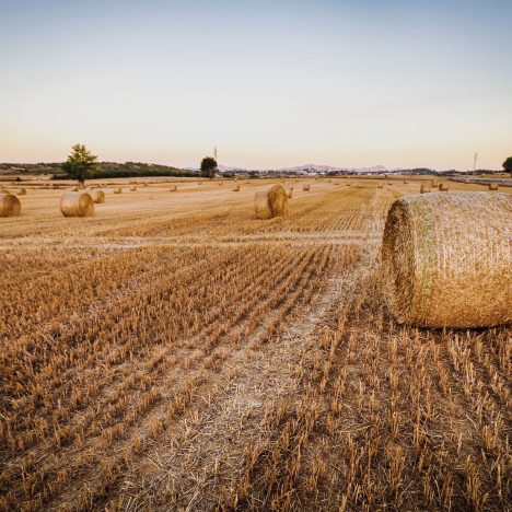 Hay Bail