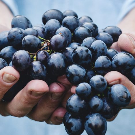 Grapes