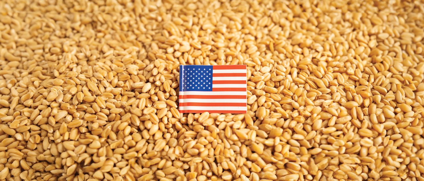 Mycotoxins USA