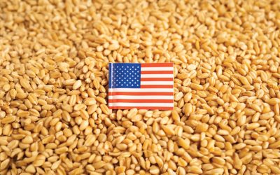 Myco USA News Banner Mycotoxins USA