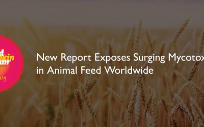 WMF News Banner V2 WMF News Banner V2