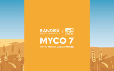 Website Banner V2